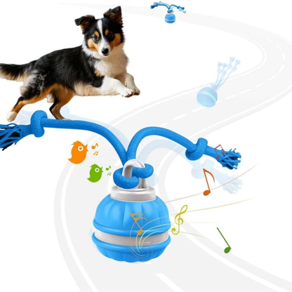 RolliPlay™ – Pametna Loptica Za Kućnog Ljubimca