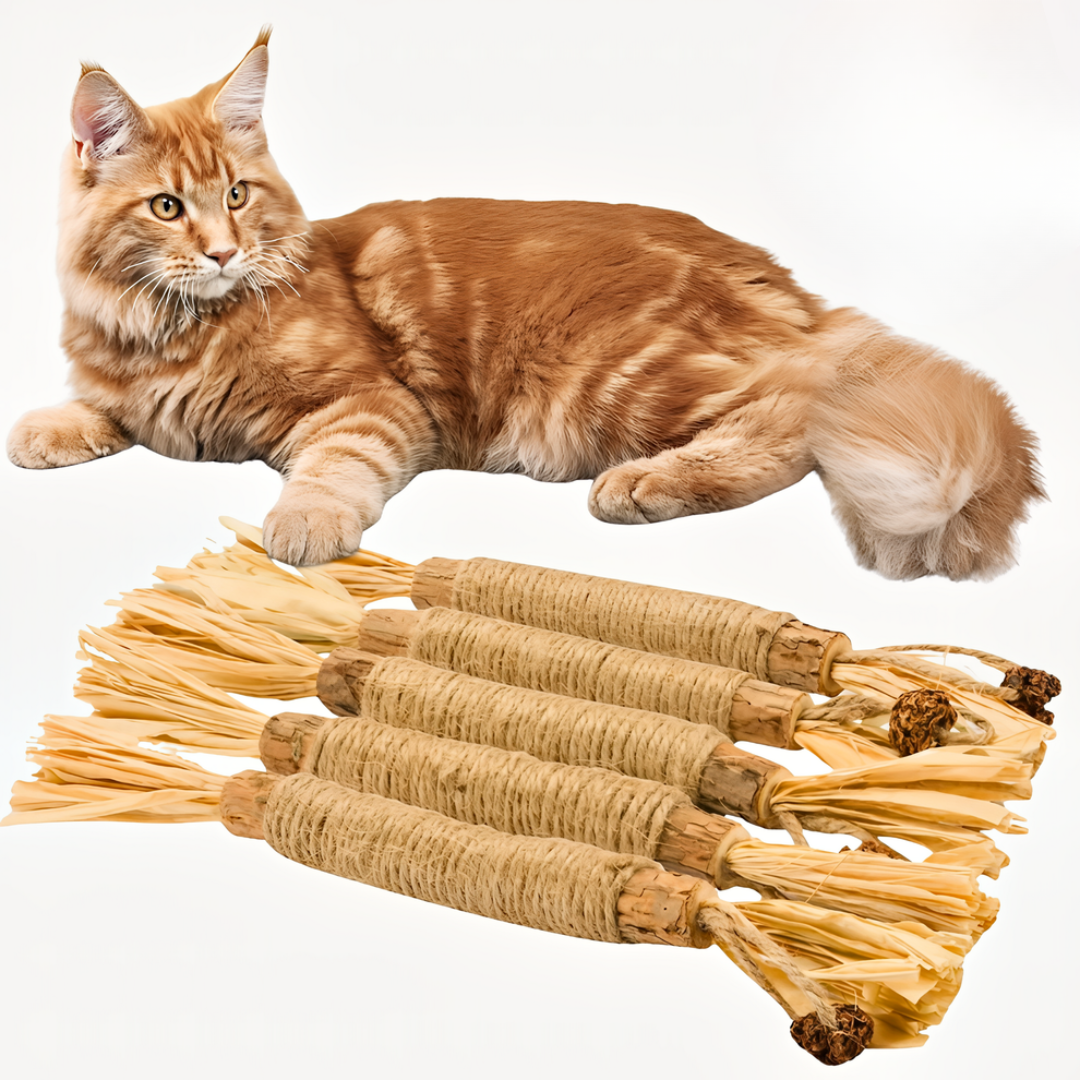 PurSticks™ – Prirodni Zubni Štapići za Mačke (Set od 5 Komada)