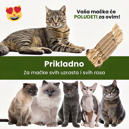 PurSticks™ – Prirodni Zubni Štapići za Mačke (Set od 5 Komada)