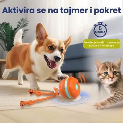 RolliPlay™ – Pametna Loptica Za Kućnog Ljubimca