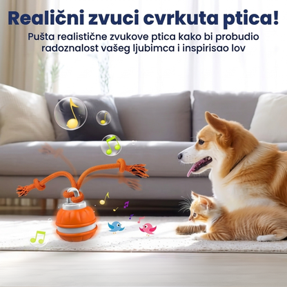 RolliPlay™ – Pametna Loptica Za Kućnog Ljubimca