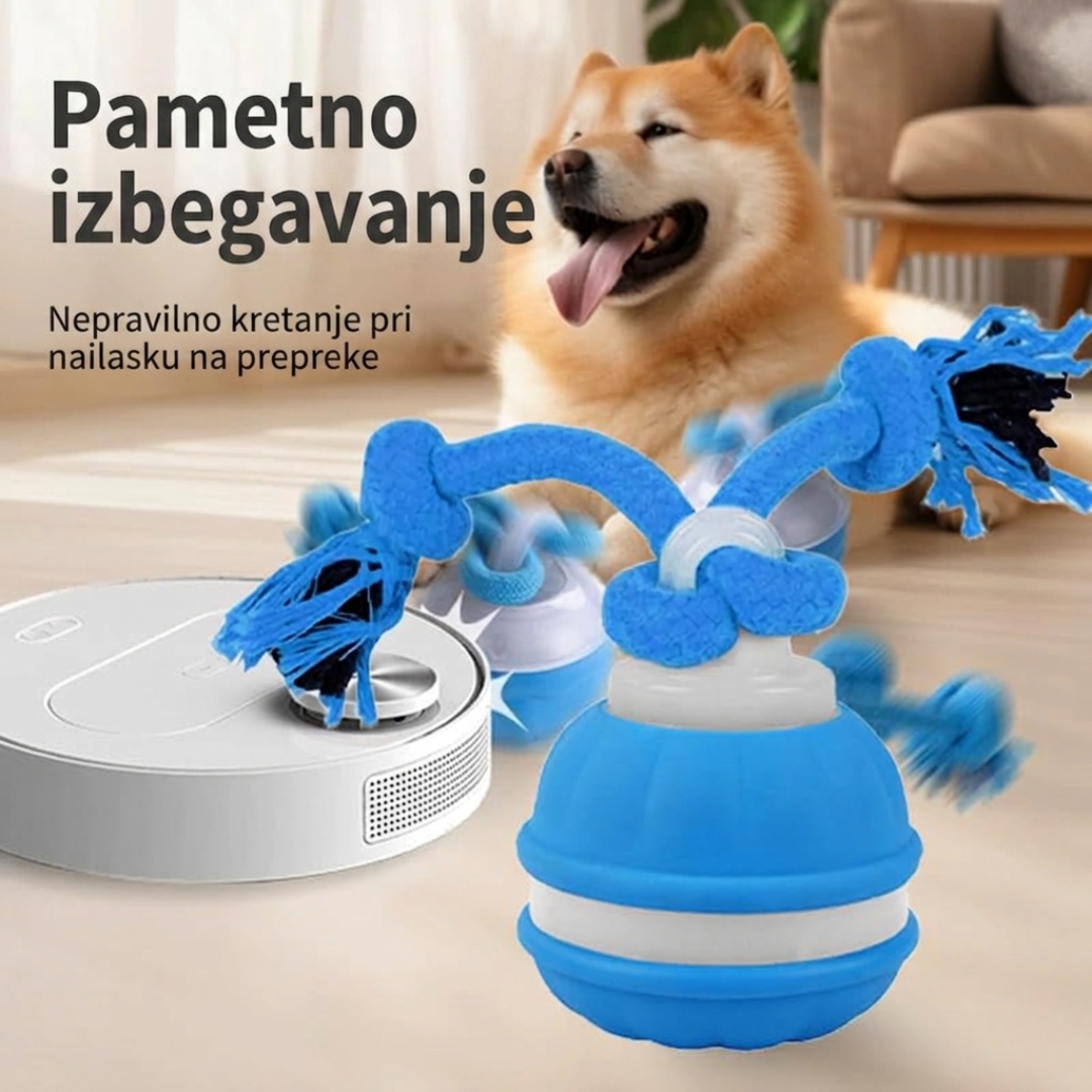 RolliPlay™ – Pametna Loptica Za Kućnog Ljubimca