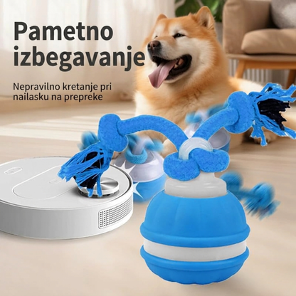 RolliPlay™ – Pametna Loptica Za Kućnog Ljubimca