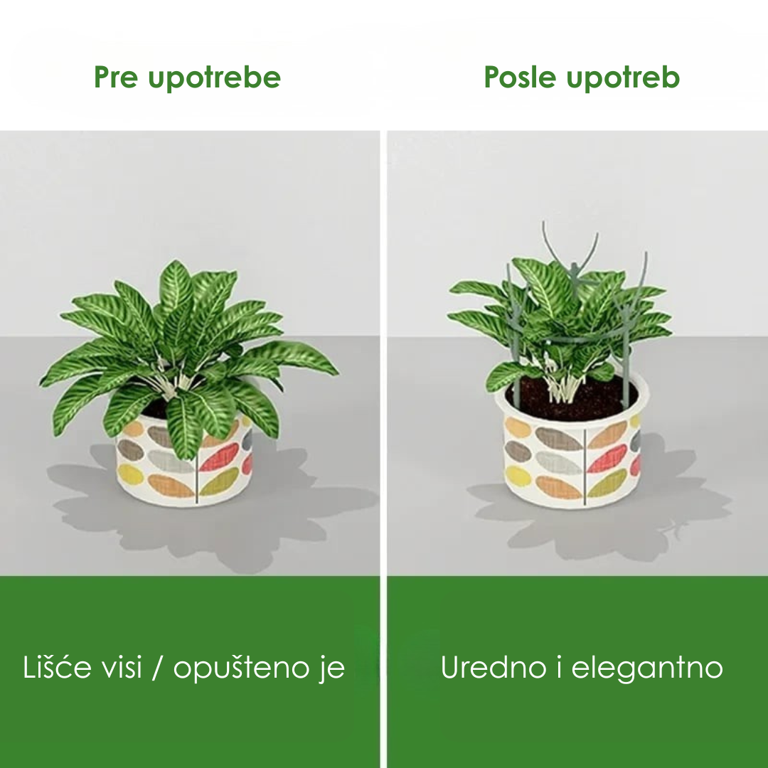 Potporni Kolčići za Biljke (Set od 5 Komada)