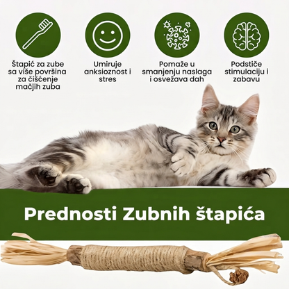 PurSticks™ – Prirodni Zubni Štapići za Mačke (Set od 5 Komada)