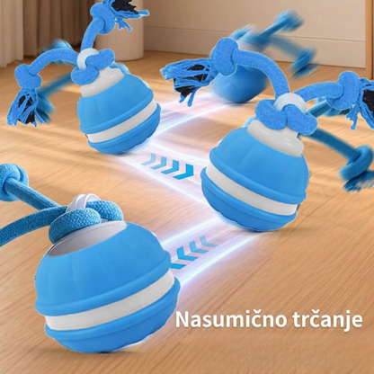 RolliPlay™ – Pametna Loptica Za Kućnog Ljubimca