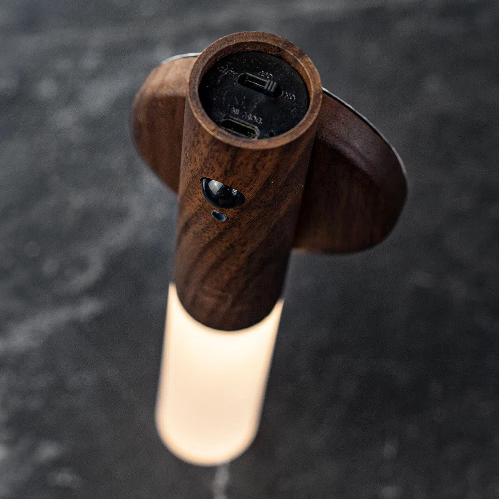 GinkoSmart™ - Pametna Senzor Lampa